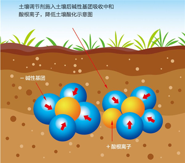 土壤是農業的基礎,保護土壤,從現在開始