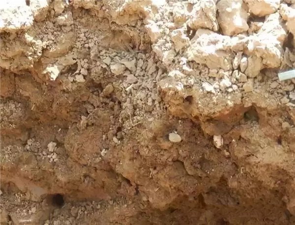 土壤養分分析儀測定土壤中總氮含量 土壤養分分析儀測定土壤中總氮含量