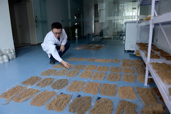 果樹的光合作用與土壤水分有什么關系？