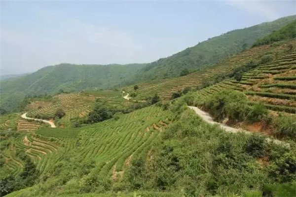 土壤養(yǎng)分檢測器。基本標(biāo)準(zhǔn)和操作方法 土壤養(yǎng)分檢測器。基本標(biāo)準(zhǔn)和操作方法